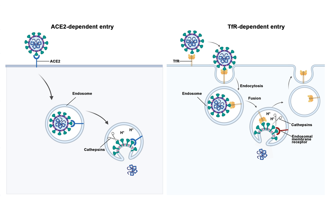 电子游戏app下载安装