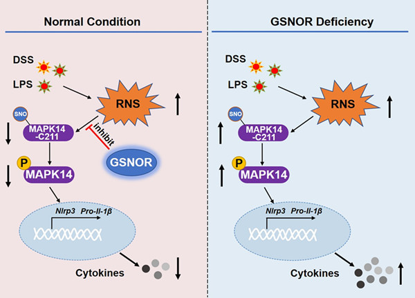 电子游戏app下载安装