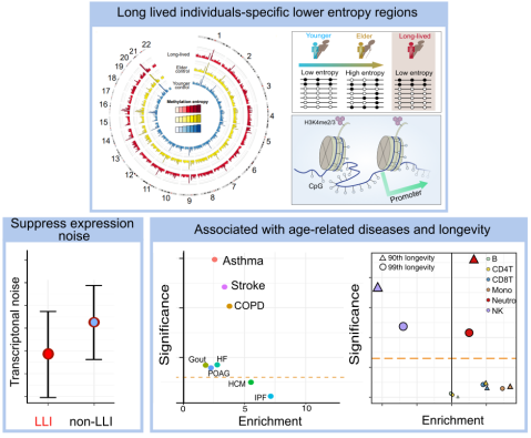电子游戏app下载安装