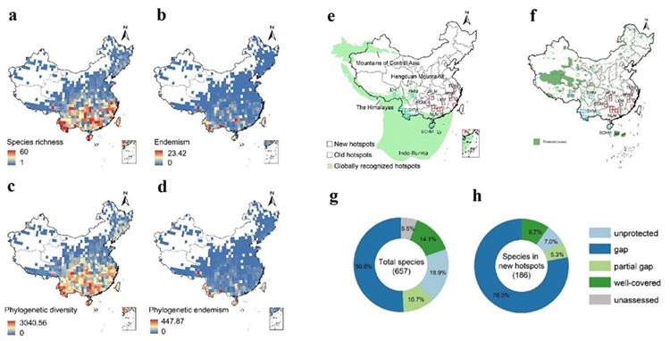 电子游戏app下载安装