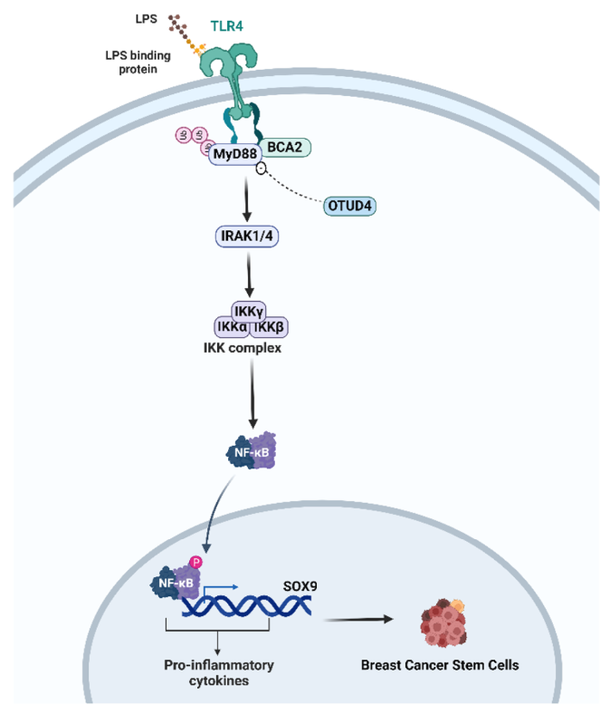 电子游戏app下载安装