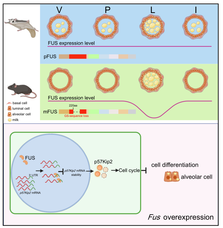 电子游戏app下载安装