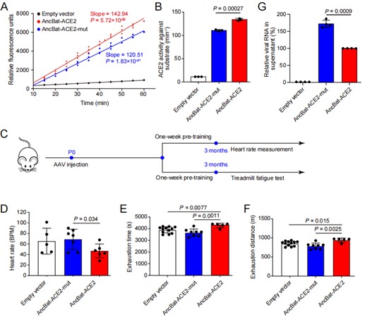 电子游戏app下载安装