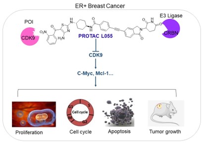 电子游戏app下载安装