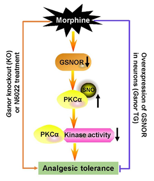 电子游戏app下载安装