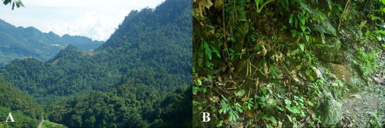 电子游戏app下载安装