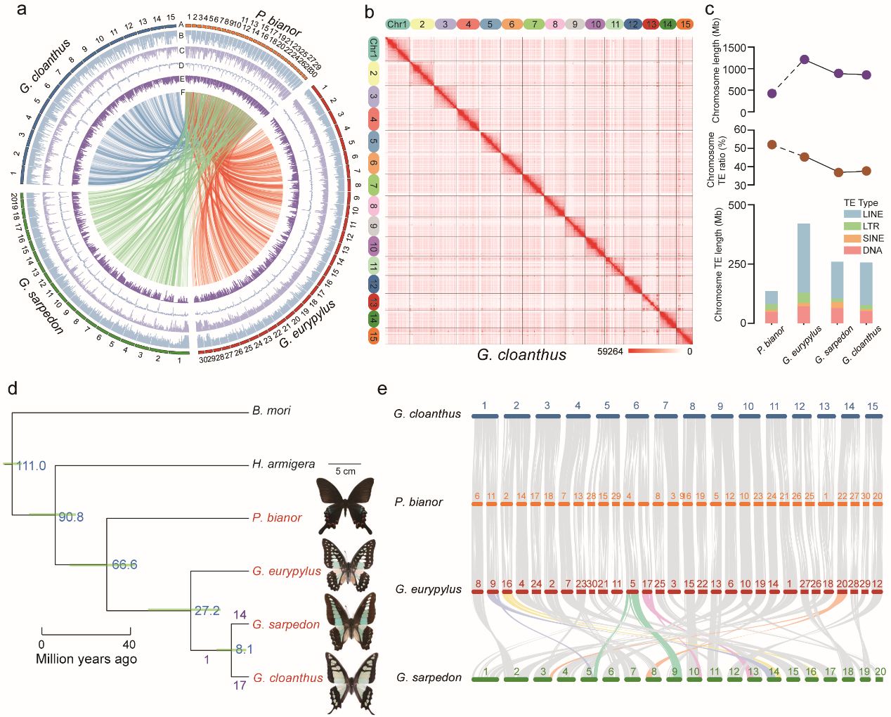 电子游戏app下载安装