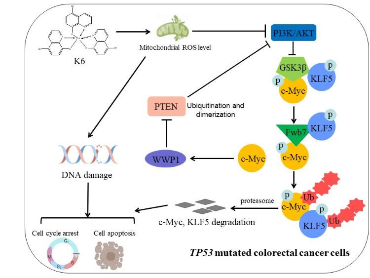 电子游戏app下载安装