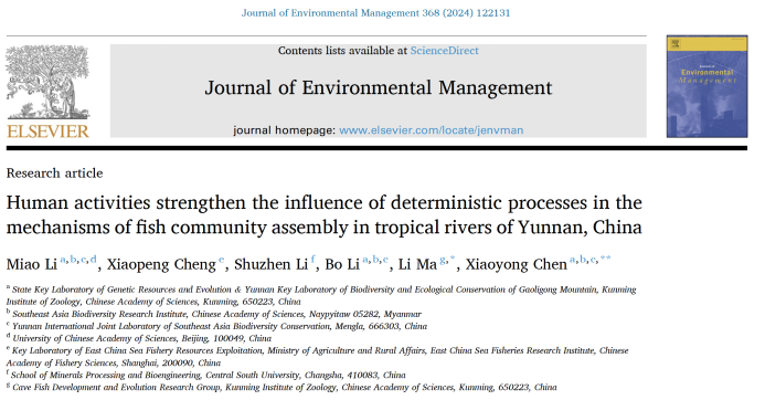 电子游戏app下载安装