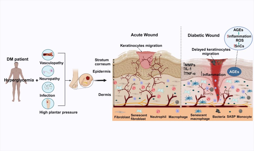 电子游戏app下载安装