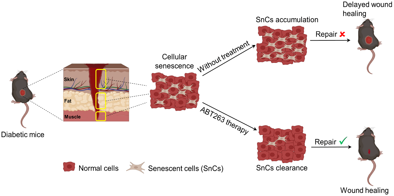 电子游戏app下载安装