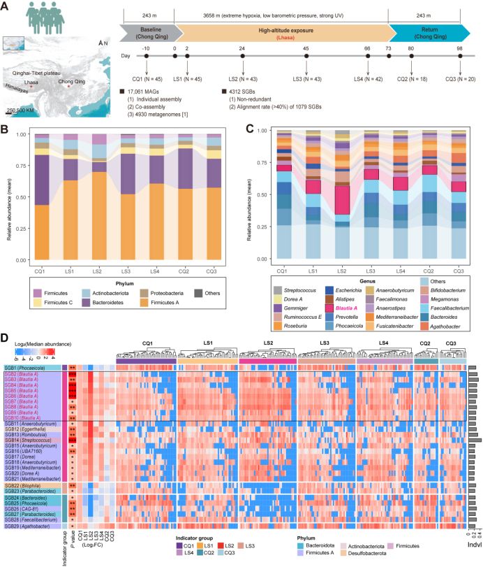 电子游戏app下载安装