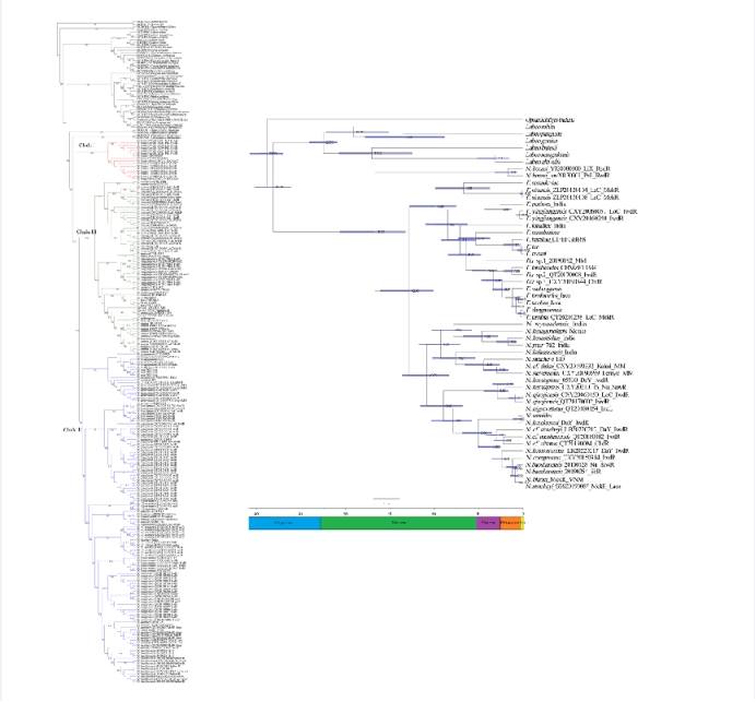 电子游戏app下载安装