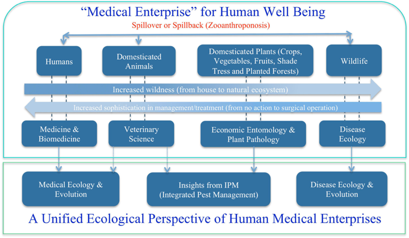 电子游戏app下载安装