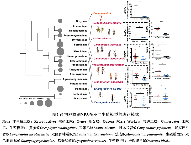电子游戏app下载安装