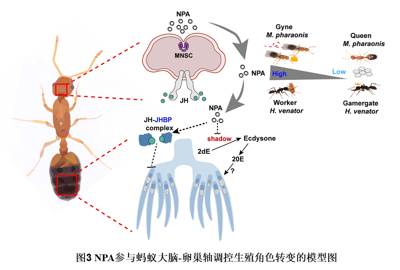 电子游戏app下载安装
