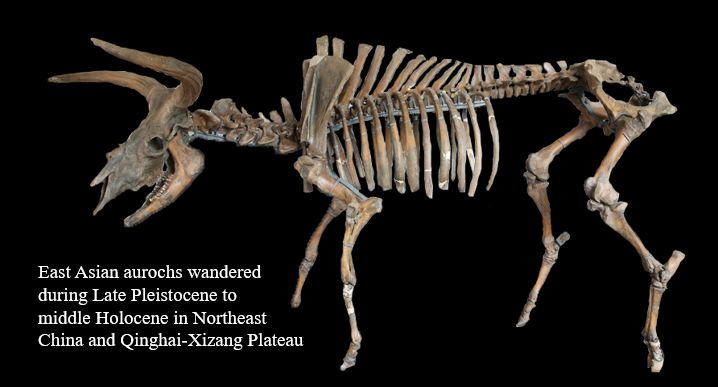 电子游戏app下载安装