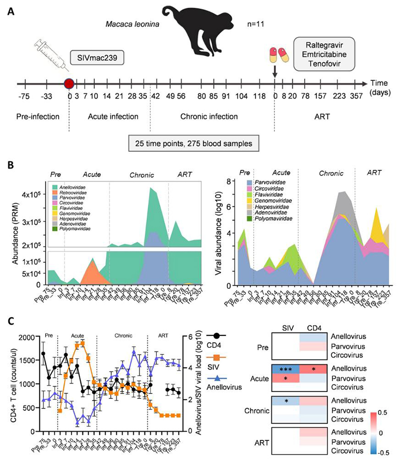 电子游戏app下载安装