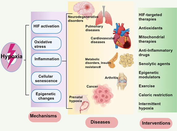 电子游戏app下载安装