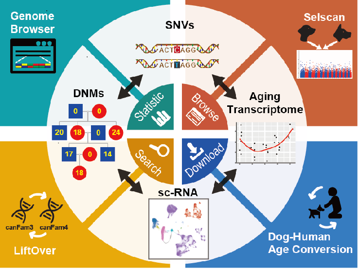 电子游戏app下载安装