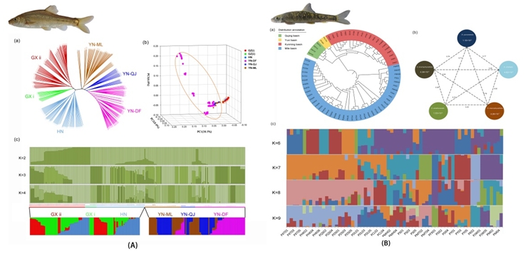 电子游戏app下载安装