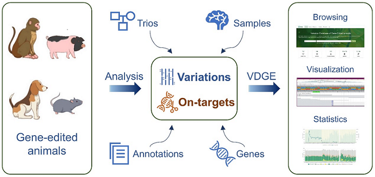 电子游戏app下载安装