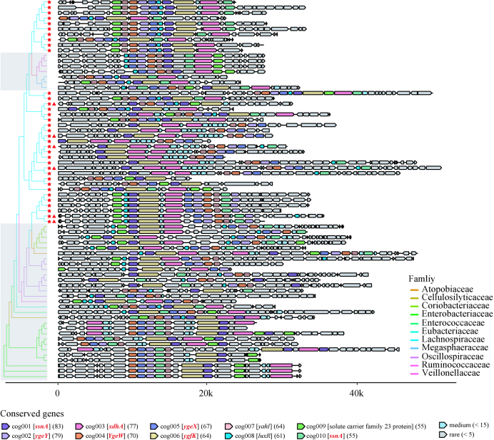 电子游戏app下载安装