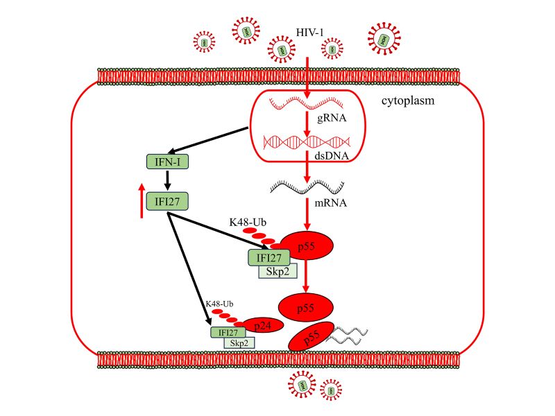 电子游戏app下载安装