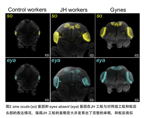 电子游戏app下载安装