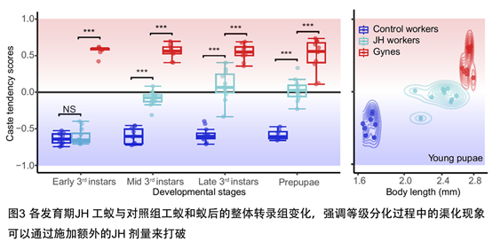 电子游戏app下载安装