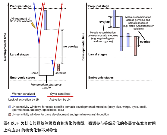 电子游戏app下载安装