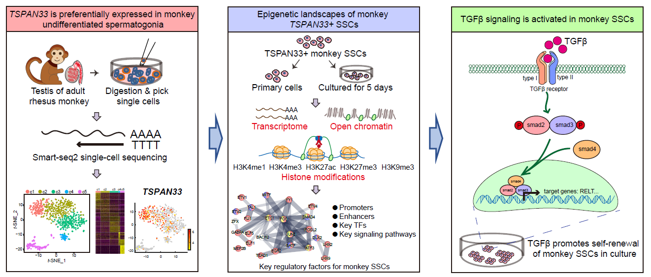 电子游戏app下载安装