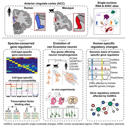 电子游戏app下载安装