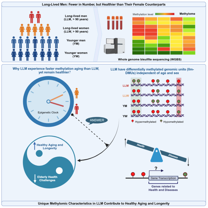 电子游戏app下载安装