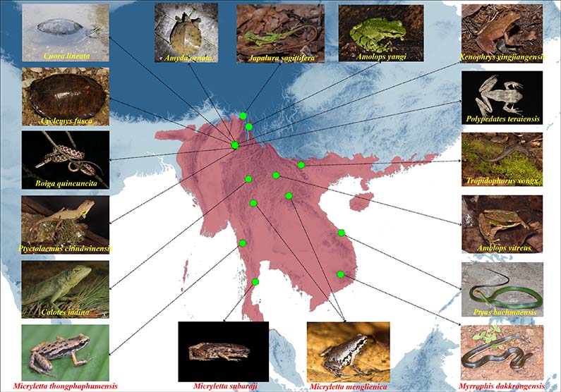 电子游戏app下载安装