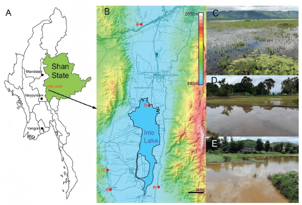 电子游戏app下载安装