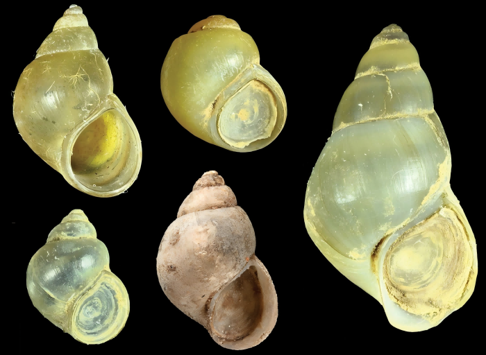 电子游戏app下载安装