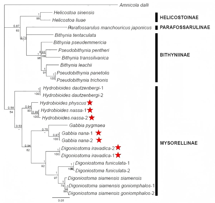 电子游戏app下载安装