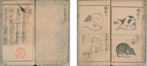 电子游戏app下载安装