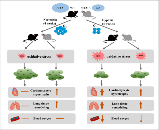 电子游戏app下载安装