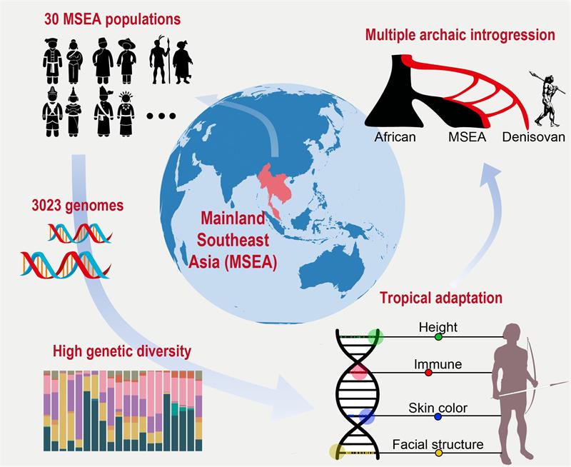 电子游戏app下载安装