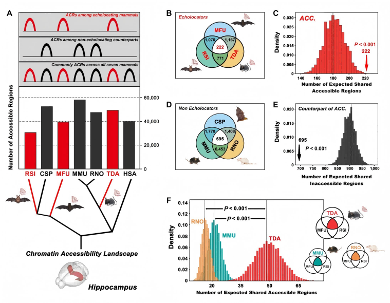 电子游戏app下载安装