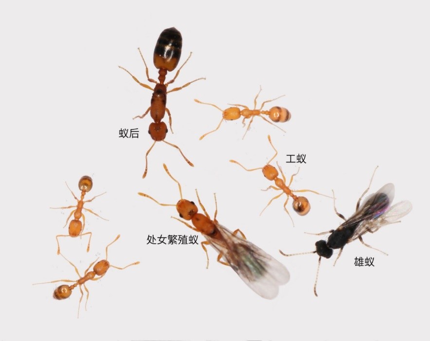 电子游戏app下载安装