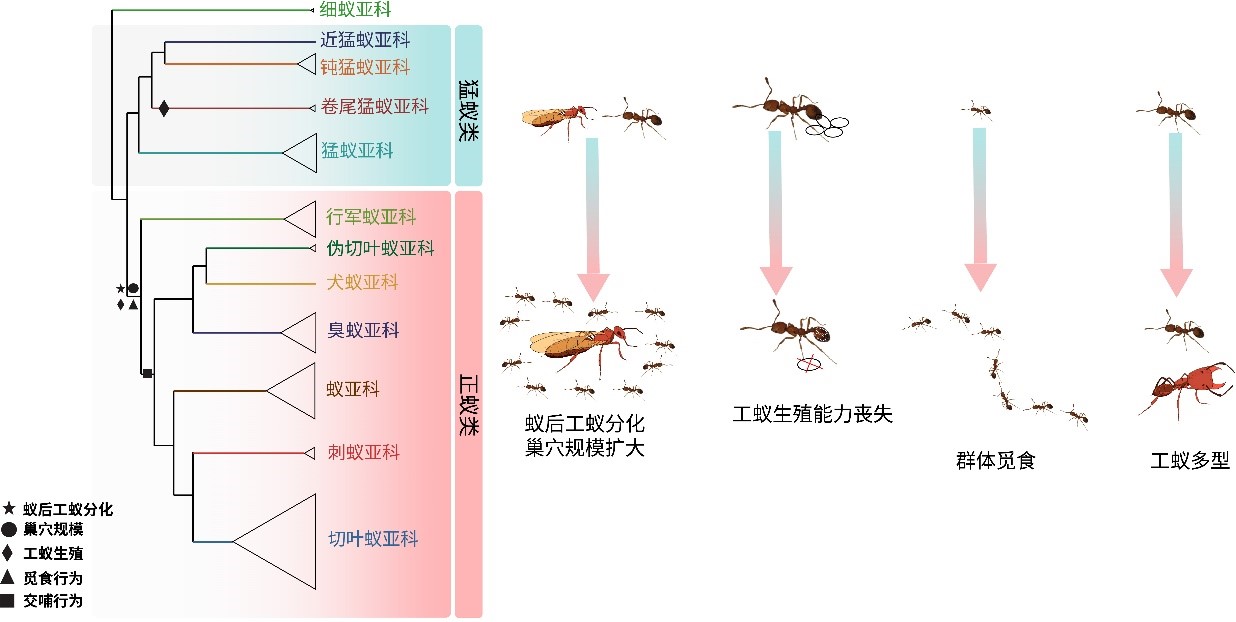 电子游戏app下载安装
