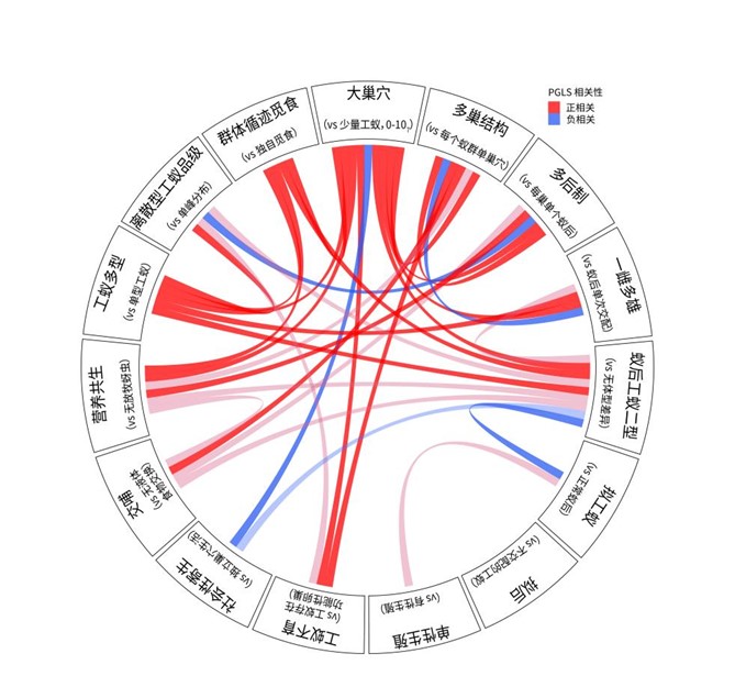 电子游戏app下载安装