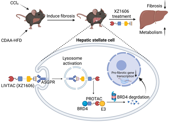 电子游戏app下载安装