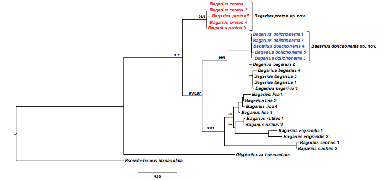 电子游戏app下载安装