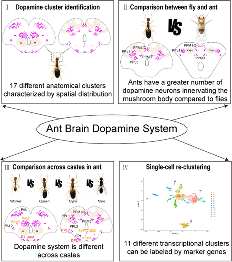 电子游戏app下载安装