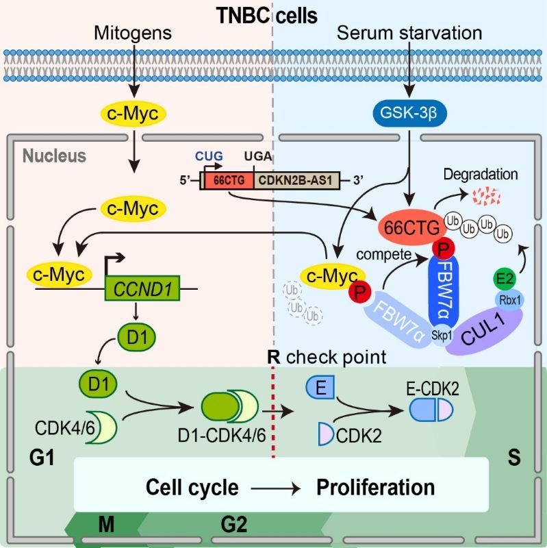 电子游戏app下载安装