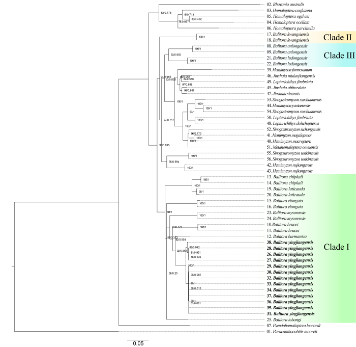 电子游戏app下载安装